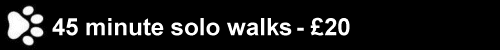 Kerry's Dog Walking
